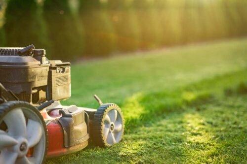 Citytasker keps your garden nice and tiy by lawn mowing service.